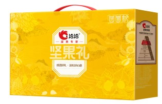 洽洽年货大礼包